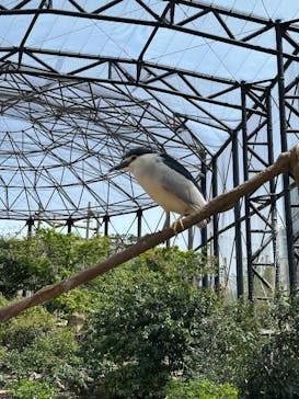 天王寺動物園に投稿された画像（2025/4/19）