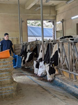 神戸市立六甲山牧場に投稿された画像（2025/4/19）