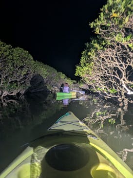 アマニコガイドサービスに投稿された画像（2025/4/19）