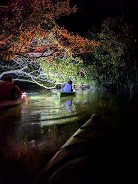 アマニコガイドサービスに投稿された画像（2025/4/19）