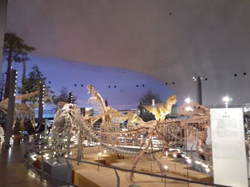 福井県立恐竜博物館に投稿された画像（2025/4/19）