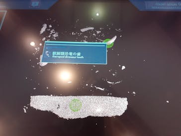 福井県立恐竜博物館に投稿された画像（2025/4/19）