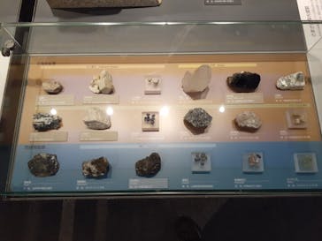 福井県立恐竜博物館に投稿された画像（2025/4/19）