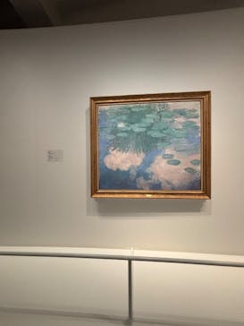 モネ　睡蓮のときに投稿された画像（2025/4/19）