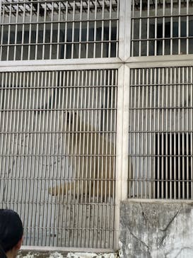 名古屋市東山動植物園に投稿された画像（2025/4/19）