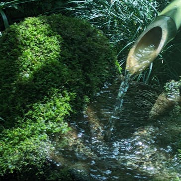 箱根強羅公園に投稿された画像（2025/4/19）