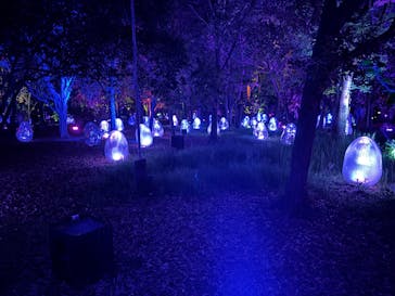 チームラボ ボタニカルガーデン 大阪に投稿された画像（2025/4/19）