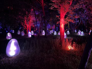 チームラボ ボタニカルガーデン 大阪に投稿された画像（2025/4/19）