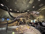 国立科学博物館に投稿された画像（2025/4/19）