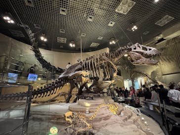 国立科学博物館に投稿された画像（2025/4/19）