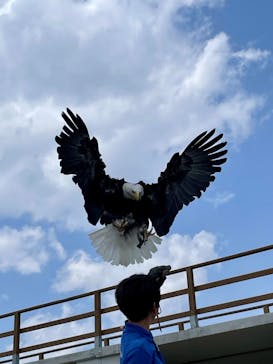 那須どうぶつ王国に投稿された画像（2025/4/19）