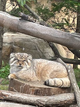 那須どうぶつ王国に投稿された画像（2025/4/19）