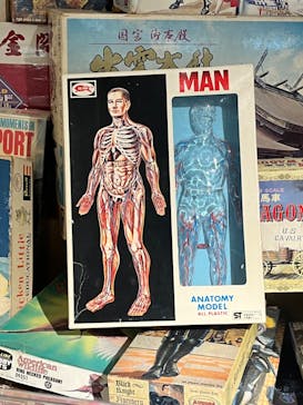 海洋堂ホビーランドに投稿された画像（2025/4/19）