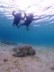 宮古島マリン GB QUESTに投稿された画像（2025/4/19）