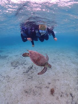 宮古島マリン GB QUESTに投稿された画像（2025/4/19）