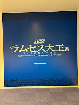 ACN ラムセス大王展 ファラオたちの黄金に投稿された画像（2025/4/19）