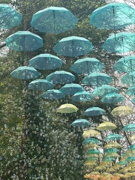 ムーミンバレーパークに投稿された画像（2025/4/19）