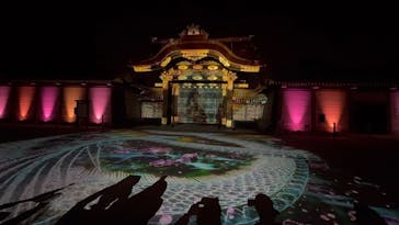 NAKED meets 二条城 2025 観月に投稿された画像（2025/4/19）