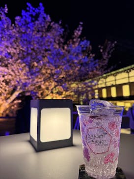 NAKED meets 二条城 2025 観月に投稿された画像（2025/4/19）