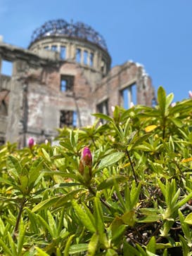 広島平和記念資料館に投稿された画像（2025/4/19）