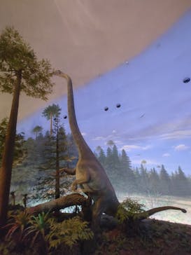 福井県立恐竜博物館に投稿された画像（2025/4/19）