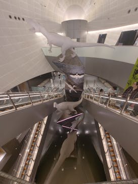 福井県立恐竜博物館に投稿された画像（2025/4/19）