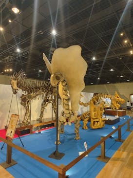 福井県立恐竜博物館に投稿された画像（2025/4/19）