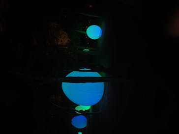 チームラボ ボタニカルガーデン 大阪に投稿された画像（2025/4/19）