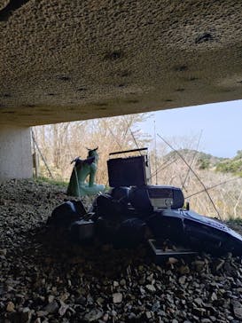 自然体感展望台 六甲枝垂れに投稿された画像（2025/4/19）