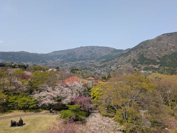 彫刻の森美術館に投稿された画像（2025/4/19）