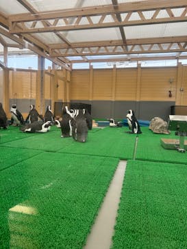 名古屋港水族館に投稿された画像（2025/4/19）