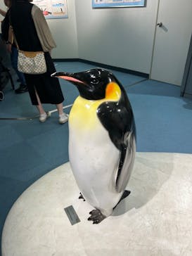 名古屋港水族館に投稿された画像（2025/4/19）