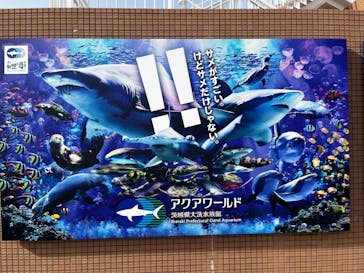 アクアワールド茨城県大洗水族館に投稿された画像（2025/4/19）