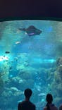 新江ノ島水族館に投稿された画像（2025/4/20）