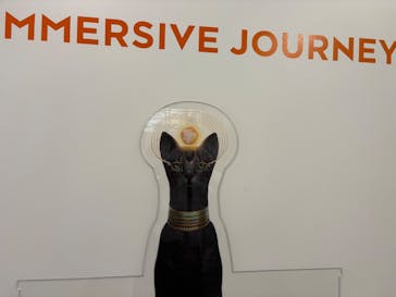 IMMERSIVE JOURNEYに投稿された画像（2025/4/19）