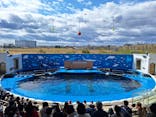 仙台うみの杜水族館に投稿された画像（2025/4/20）