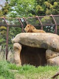 千葉市動物公園に投稿された画像（2025/4/20）