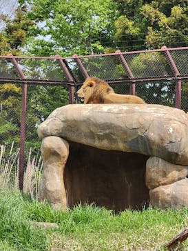 千葉市動物公園に投稿された画像（2025/4/20）