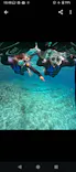 武藤潜水に投稿された画像（2025/4/20）