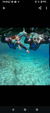 武藤潜水に投稿された画像（2025/4/20）