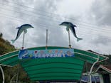 下田海中水族館に投稿された画像（2025/4/20）