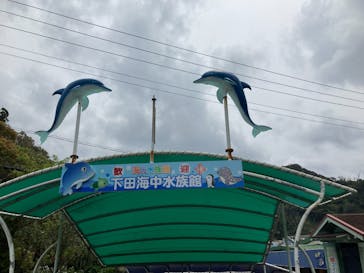 下田海中水族館に投稿された画像（2025/4/20）