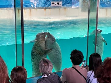 下田海中水族館に投稿された画像（2025/4/20）