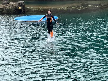 下田海中水族館に投稿された画像（2025/4/20）