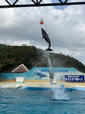 下田海中水族館に投稿された画像（2025/4/20）