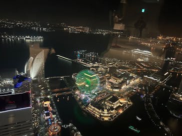 横浜ランドマークタワー 69階展望フロア スカイガーデンに投稿された画像（2025/4/20）