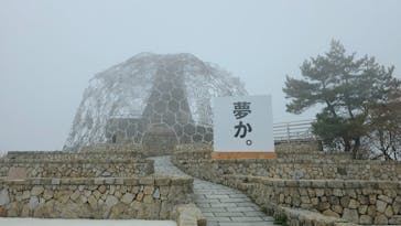 自然体感展望台 六甲枝垂れに投稿された画像（2025/4/20）