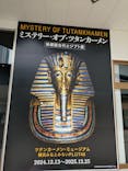 MYSTERY OF TUTANKHAMEN 体感型古代エジプト展に投稿された画像（2025/4/20）