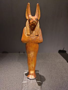 MYSTERY OF TUTANKHAMEN 体感型古代エジプト展に投稿された画像（2025/4/20）