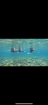 青の洞窟専門店　沖縄ダイビングショップ和に投稿された画像（2025/4/20）